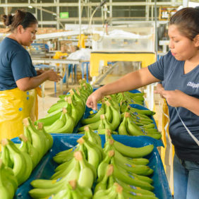 Kvinnors egenmakt och Chiquita