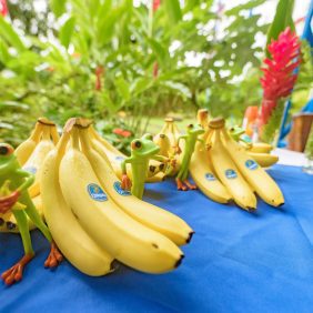 Chiquita lovar ytterligare 10 års skydd till Nogal-reservatet som en hyllning till 20-årsjubileet